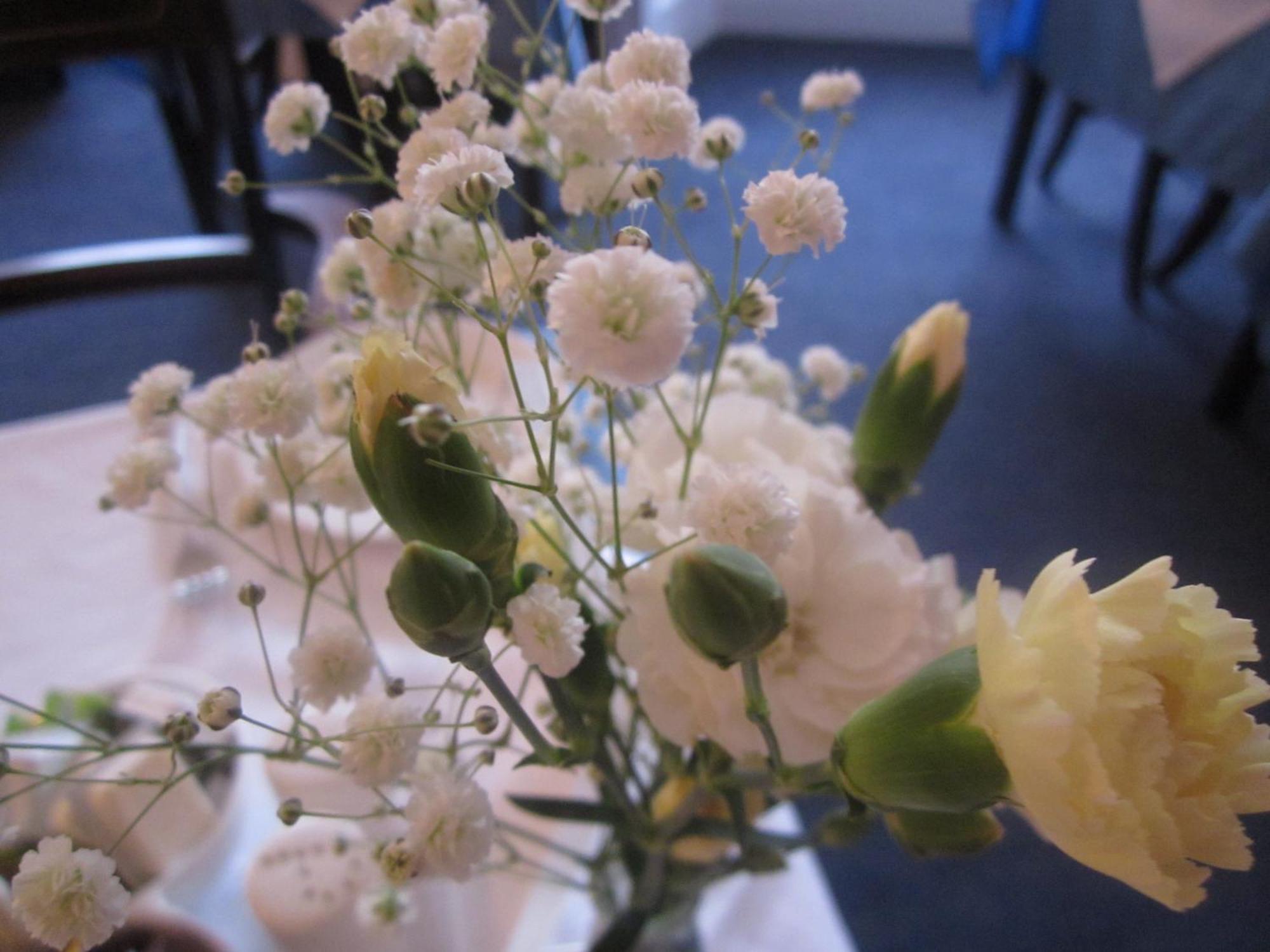 Elder York Guest House — Foto’s 3